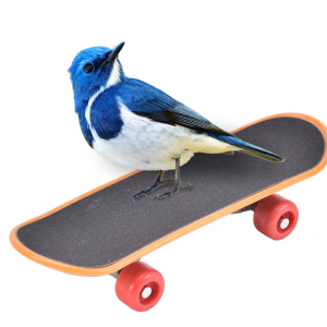 Bird Toy Skateboard Training Parrot Funny Intelligence Mini Skateboard - Image 3