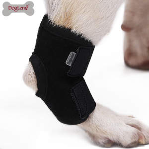 Dog Rear Hock Joint Brace Compression Wrap - Image 9