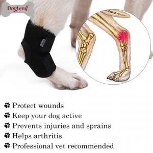 Dog Rear Hock Joint Brace Compression Wrap - Image 4