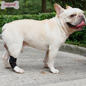 Dog Rear Hock Joint Brace Compression Wrap - Image 7