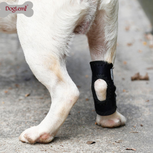 Dog Rear Hock Joint Brace Compression Wrap - Image 10