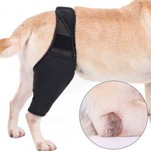 Dog Recovery Knee Brace Injuries Leg Brace Joint Wrap - Image 5