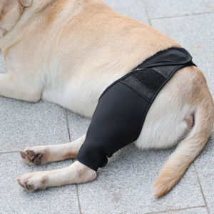 Dog Recovery Knee Brace Injuries Leg Brace Joint Wrap - Image 7