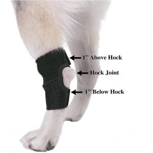 Dog Rear Hock Joint Brace Compression Wrap - Image 3