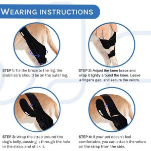 Dog Recovery Knee Brace Injuries Leg Brace Joint Wrap - Image 4