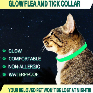 Cat Flea Collar Flea and Tick Collar for Cats - Image 3