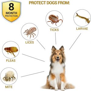 Dog Flea Collar Flea and Tick Collar for Dogs 24 Inch - Image 3