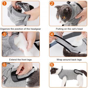 Cat Surgery Recovery Suit, Cat Surgery Recovery Suit - Image 7