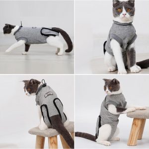 Cat Surgery Recovery Suit, Cat Surgery Recovery Suit - Image 8